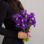 7 фиолетовых ирисов — вид 2