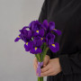 7 фиолетовых ирисов — вид 3