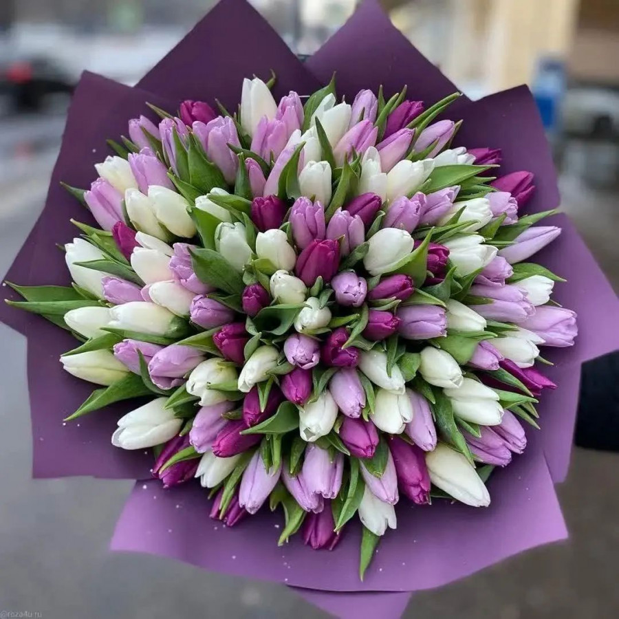Букет из 101 фиолетового тюльпана - фото 2