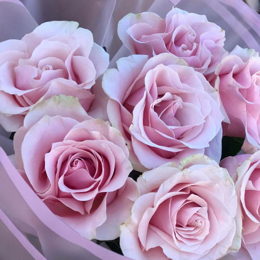 Букет из 7 розовых роз - фото 3