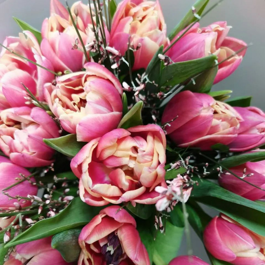 Букет из 15 розовых пионовидных тюльпанов - фото 3